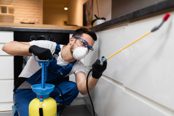 Best Pest Control Near Me  in Allison Rk, PA