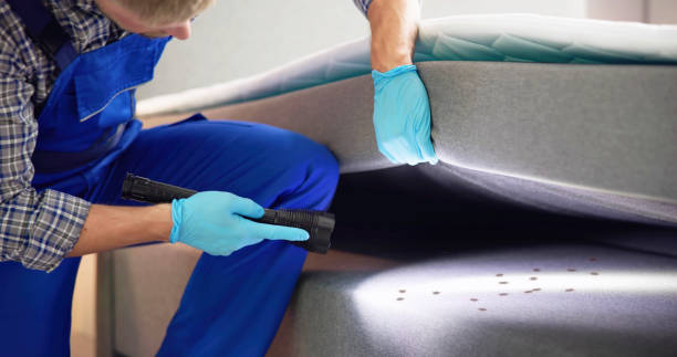 Best Pest Inspection Near Me  in Allison Rk, PA