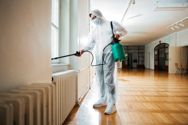Flea Control Services in Allison Park, PA